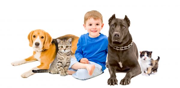Detroit Pets
