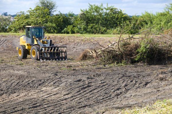 Detroit Land Clearing