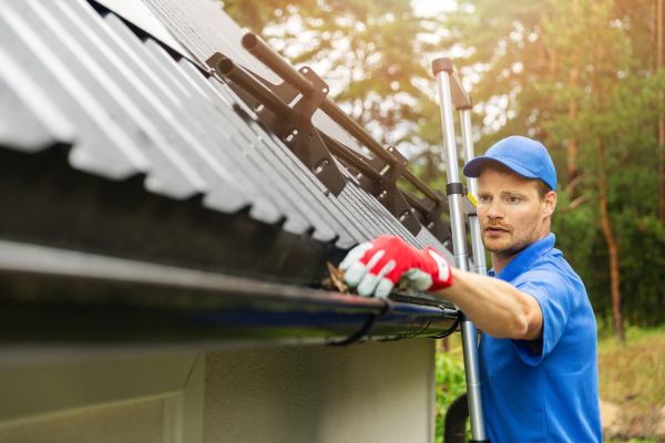 Detroit Gutter Cleaning
